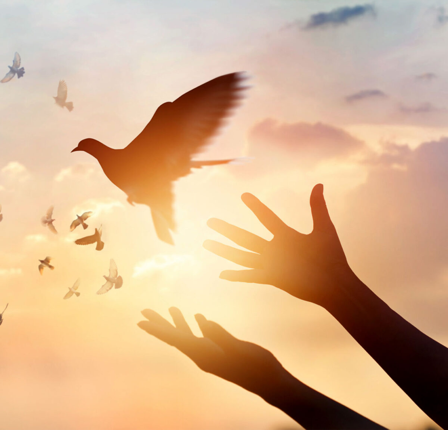 TRTP Therapy for Fast and Effective Trauma Healing in Yarrambat